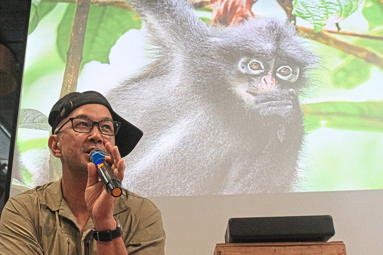 Vanishing species inspire stories, art in Penang