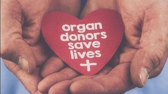 Mother's claim to child should not be casually doubted: Madras HC on organ donation
