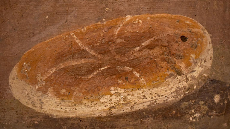How ancient humans learned to cook
