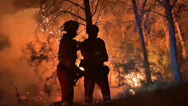 La UME refuerza con 200 militares y 70 medios la lucha contra el ...