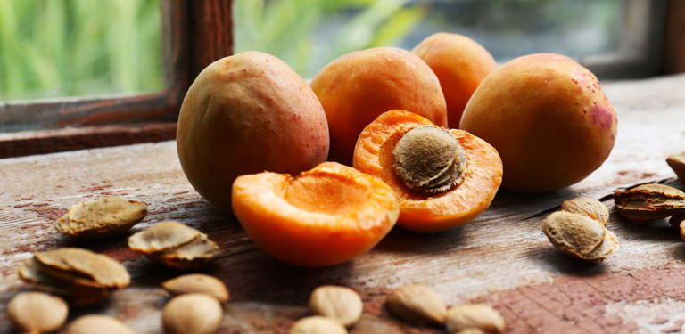 حبات المشمش مع البذور