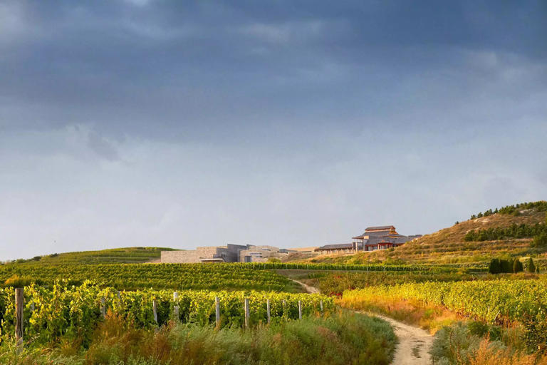 Chinese wine emerges as global market challenger
