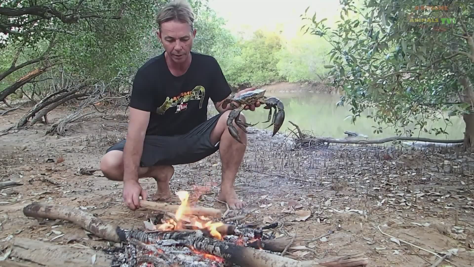 Delicious crab cooking | Mud crabs catch and cook with survival skills