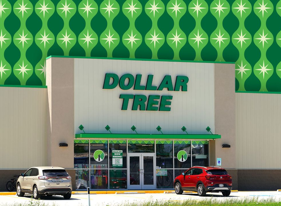11 best new Dollar Tree patio finds under $10