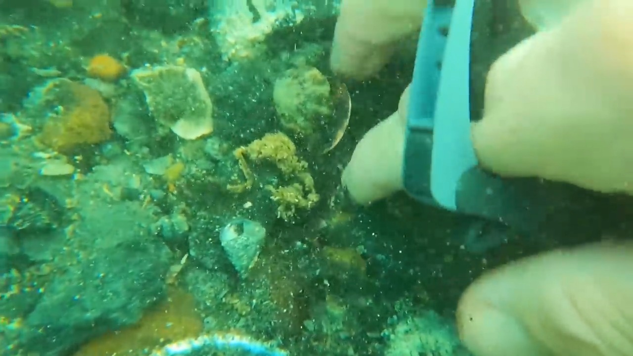 A $40,000 gold Rolex vanished in the ocean - then the underwater hunt ...