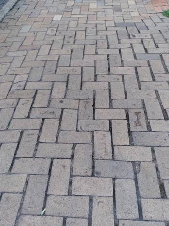 Brick sidewalk with a herringbone pattern. Some bricks are uneven, showing signs of wear. No other objects or text visible