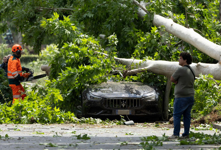 Tornado fells trees in Rome