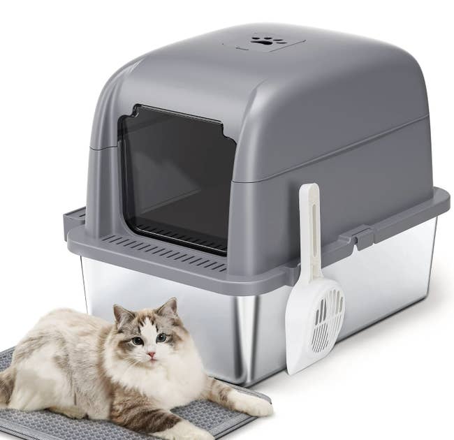 Covered cat litter box with scooper attached, a cat lying on a mat beside it, looking relaxed