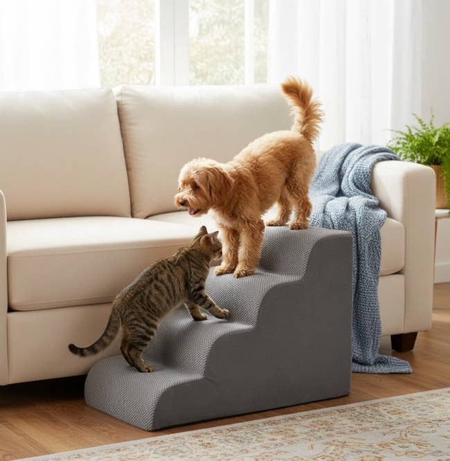 A small dog and cat playfully interact on a three-step pet staircase beside a sofa in a cozy living room