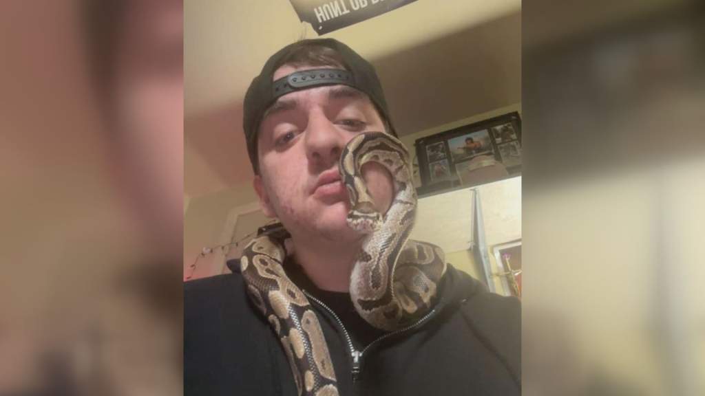 Python named Peanut to reunite with owner after Ontario sewage plant rescue