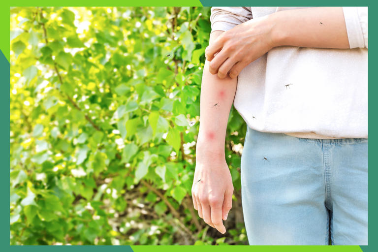 Users call this $4 contraption the 'best solution' for beating bugs