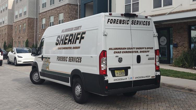 2 USF students who are roommates involved in double stabbing at Tampa ...