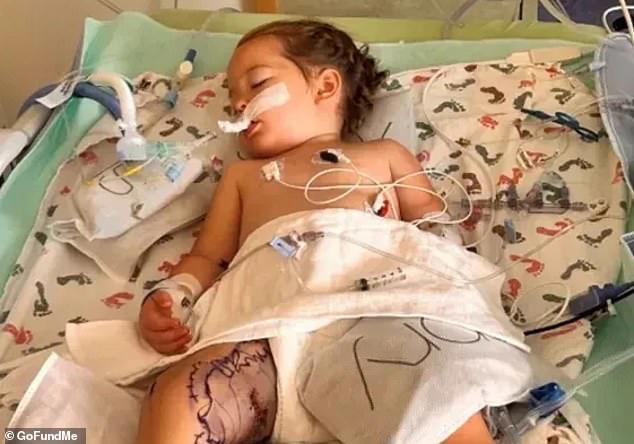After more than 30 vials of anti-venom and a blood transfusion, Quinn is in recovery, but she now faces terrifying night terrors and struggles to walk because of the near-deadly incident