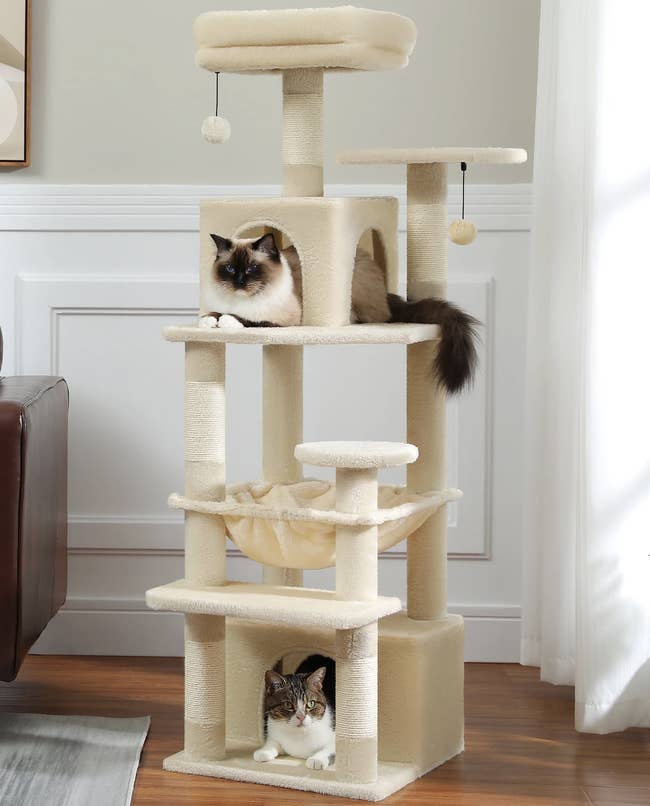 Two cats on a multi-level cat tree in a living room; one on top, another at the bottom. The tree has various platforms and a hammock
