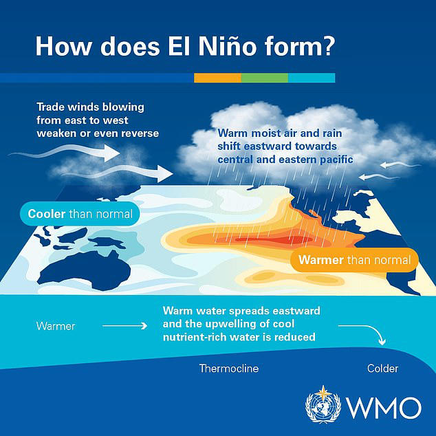Scientists: Super El Niño could add hundreds to your grocery bill