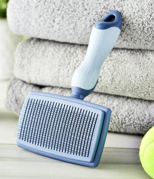Pet grooming brush in front of folded towels