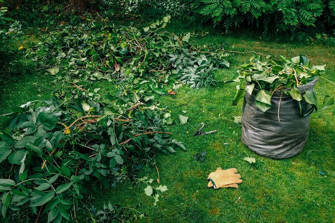 Garden Clean Up
