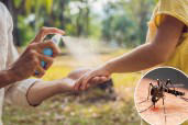 Users call this $4 contraption the 'best solution' for beating bugs