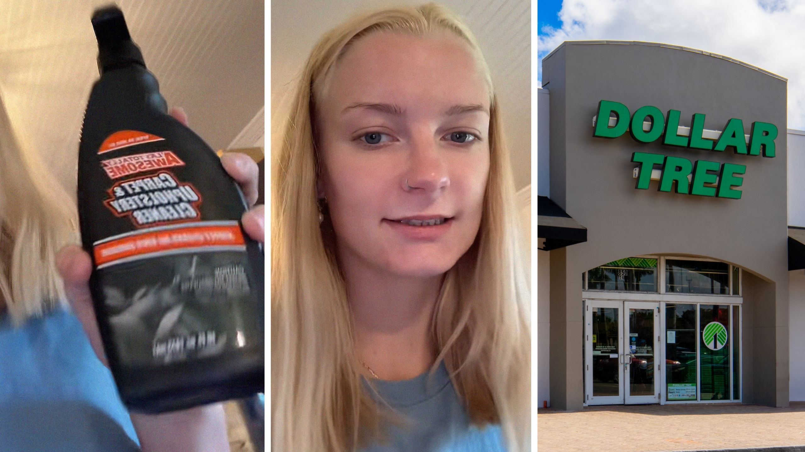 Photo inspiration: Visual Reference: North Carolina Woman Buys Carpet Cleaner From Dollar Tree Car