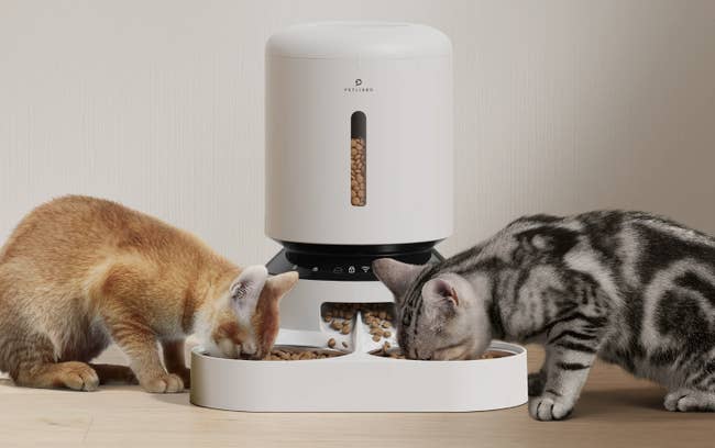 Two cats eating from a dual pet feeder with a built-in food dispenser
