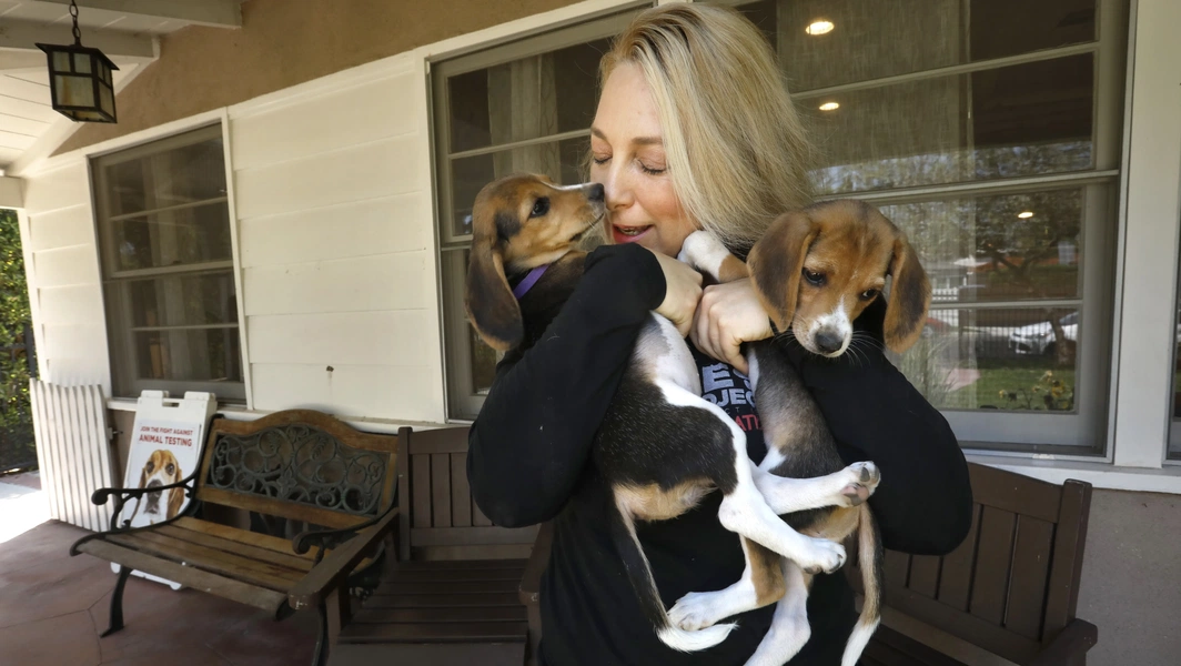 Rescue stories and abandonment cases spotlight animal welfare crisis