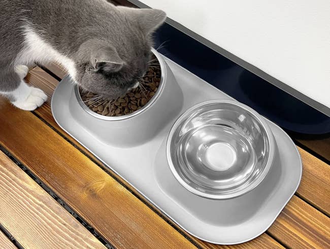 Cat eating from a gray food bowl on a wooden floor next to an empty water dish