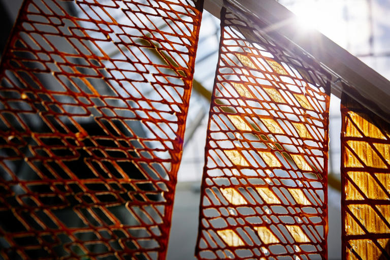 'Baked' yeast-based materials power 3D-printed architectural materials