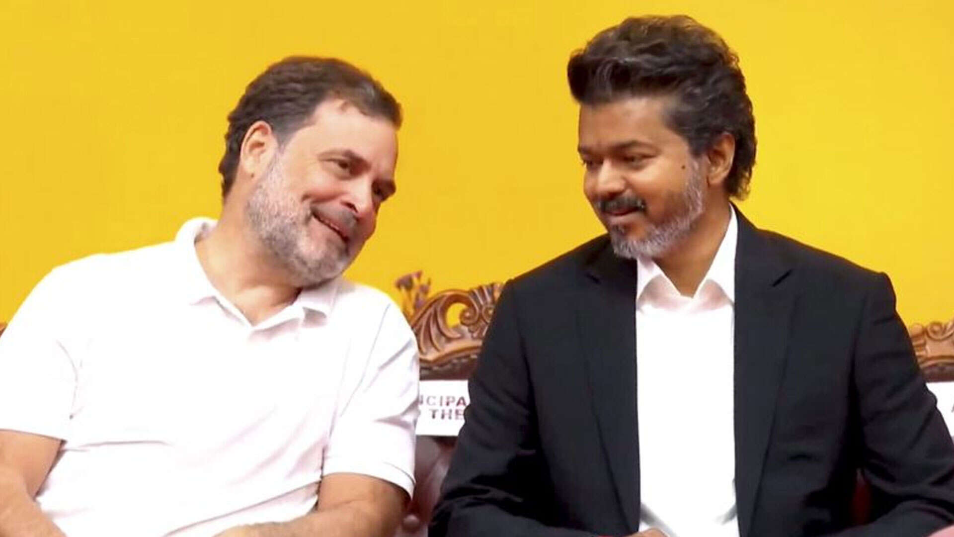 Vijay's TVK offers Rajya Sabha seat to Congress ahead of June 18 poll