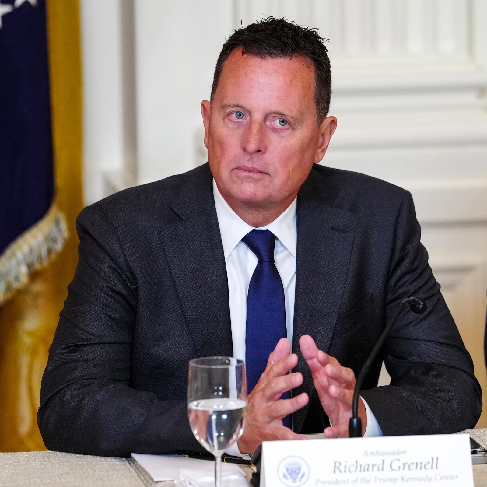 Grenell says he was 