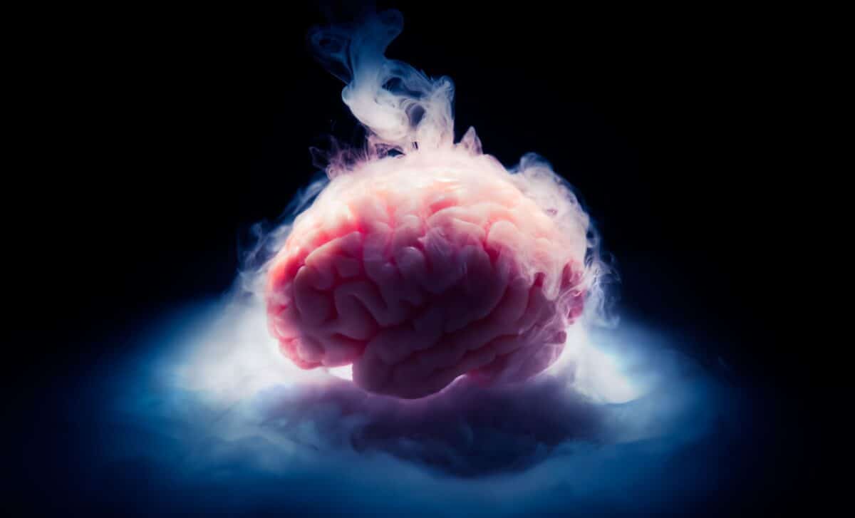 Scientists revive mouse brains frozen to -196°C, hinting at possible ...