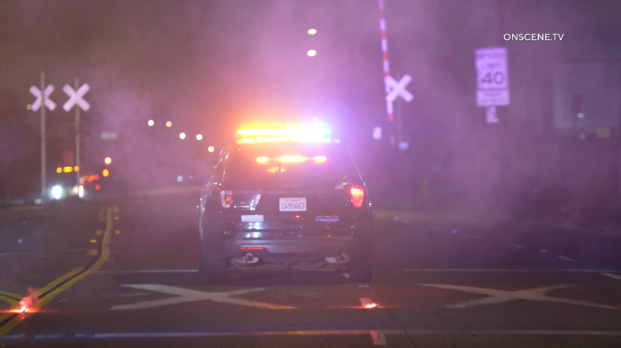 Police seek driver in South LA hit-and-run that killed 88-year-old man