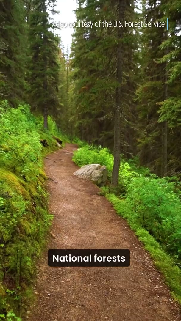 US Forest Service unveils 