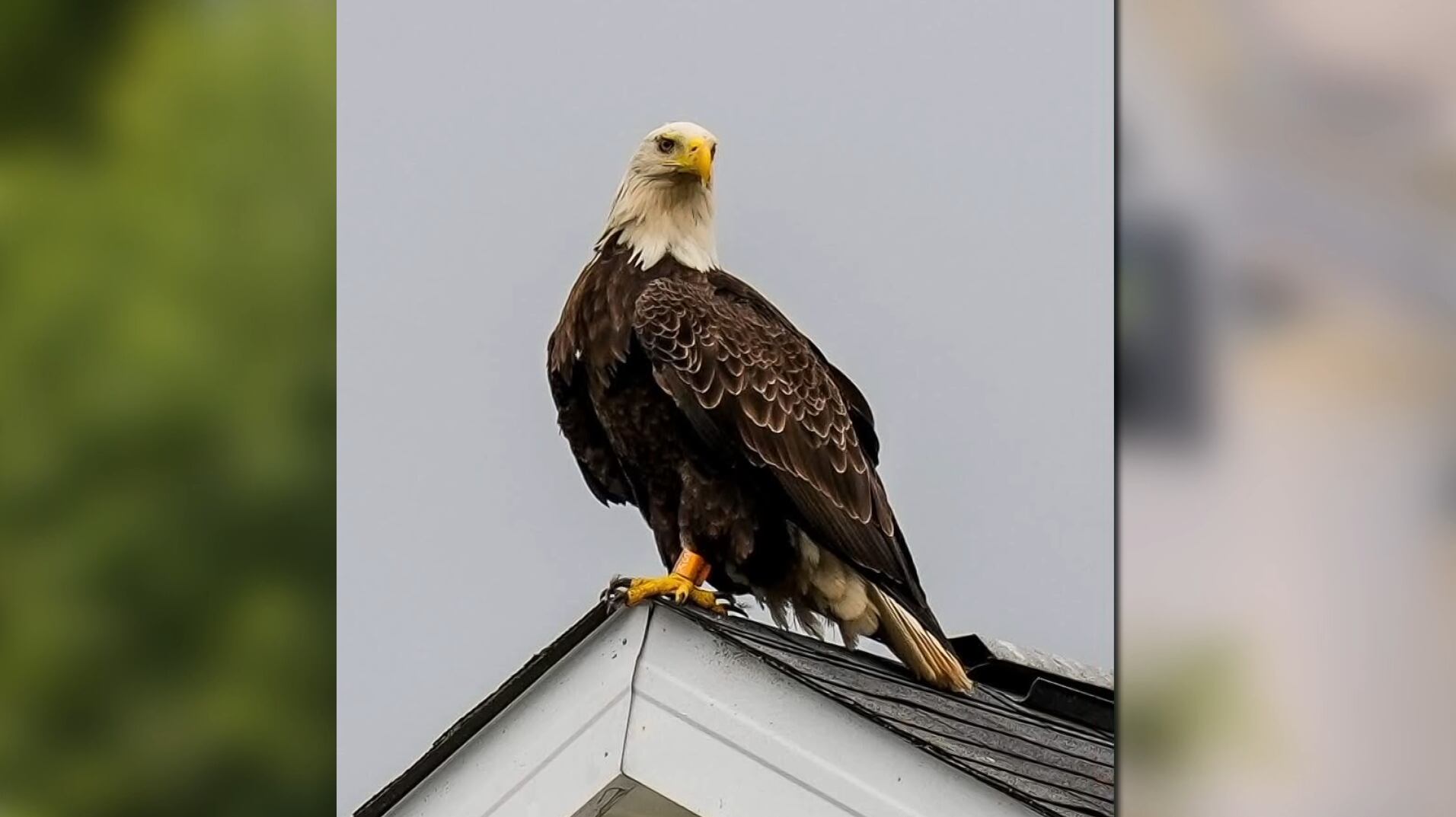 https://img-s-msn-com.akamaized.net/tenant/amp/entityid/AA24MBU0.img?w=768&h=431&m=4&q=76