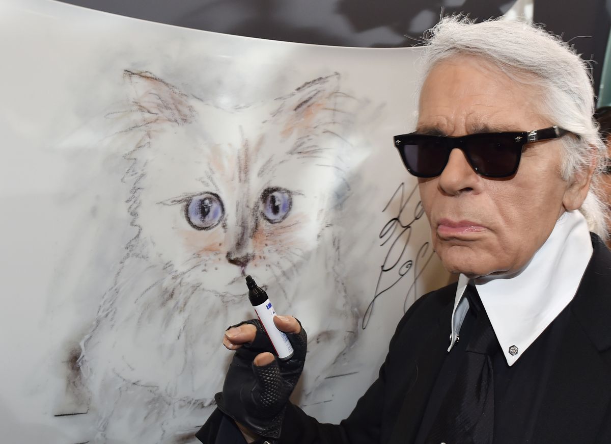 Karl Lagerfeld's cat Choupette still waiting for her inheritance — six ...