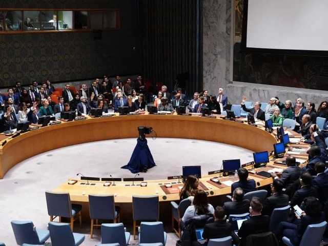 Five countries elected non-permanent members to UN Security Council
