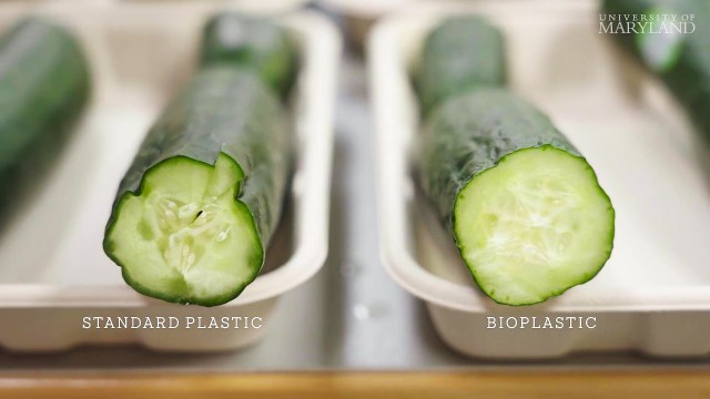 New shellfish-made packaging could keep produce fresh twice as long as ...