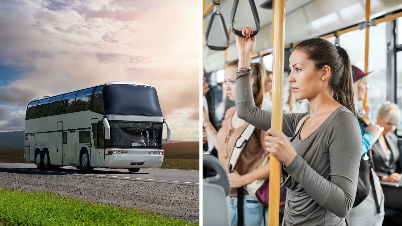 The bus is a strange place, and these stories prove it