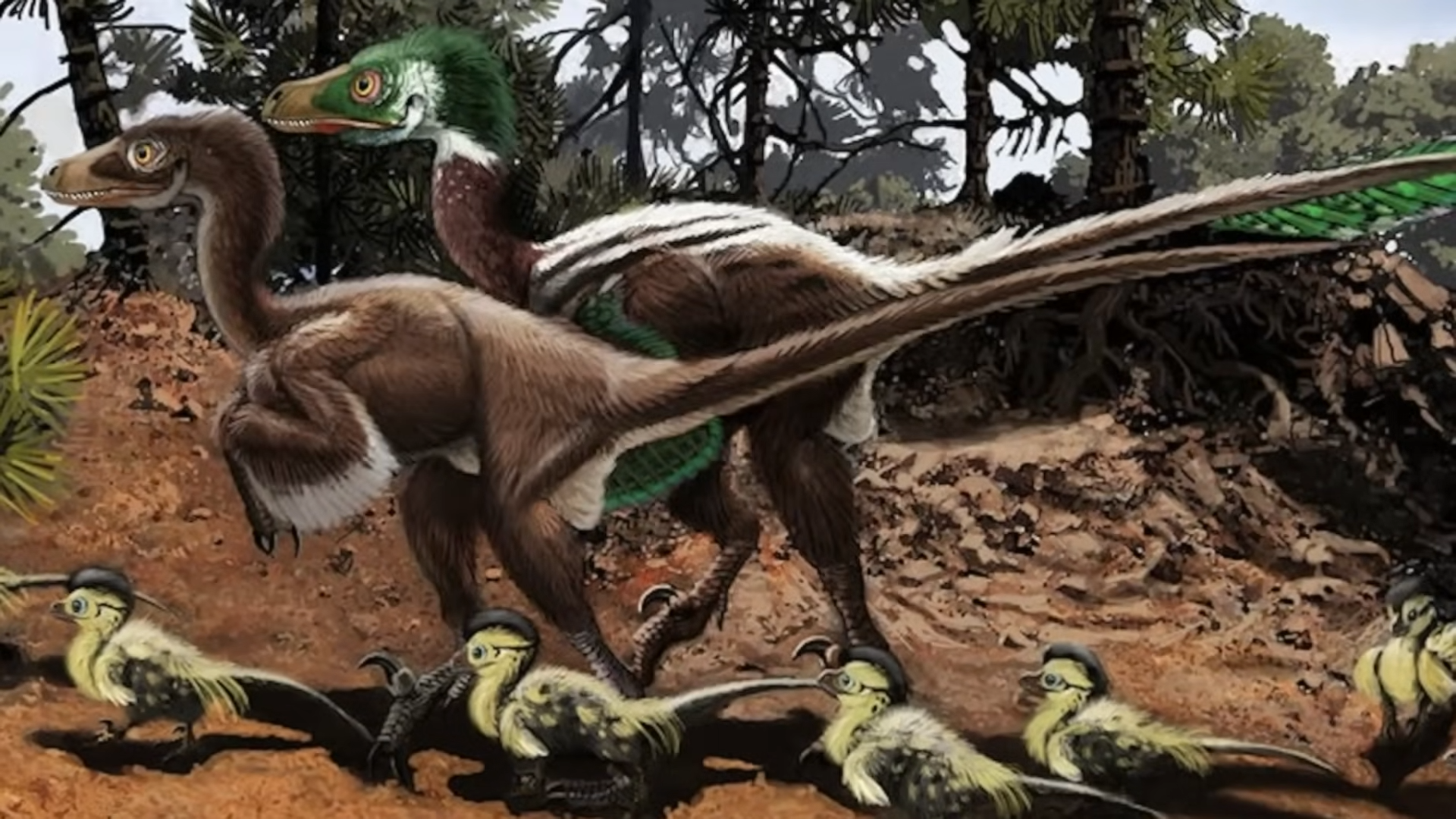 This speedy thief was one of the smartest predators of its time