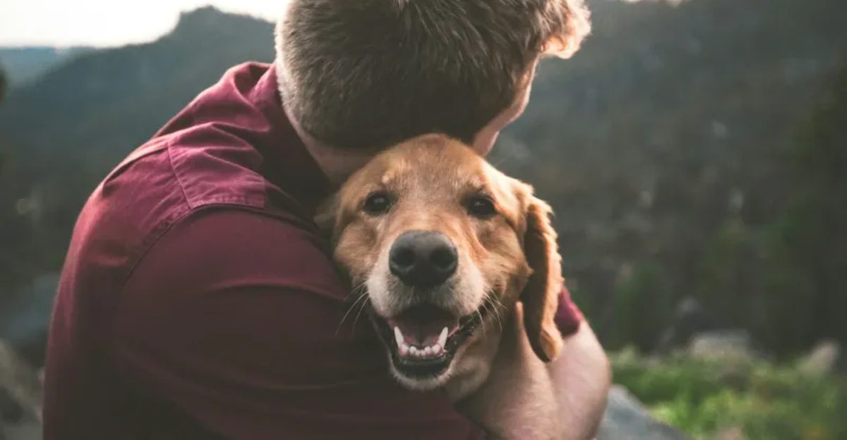 These 8 common sounds can make dogs uneasy fast, while these 4 have the ...