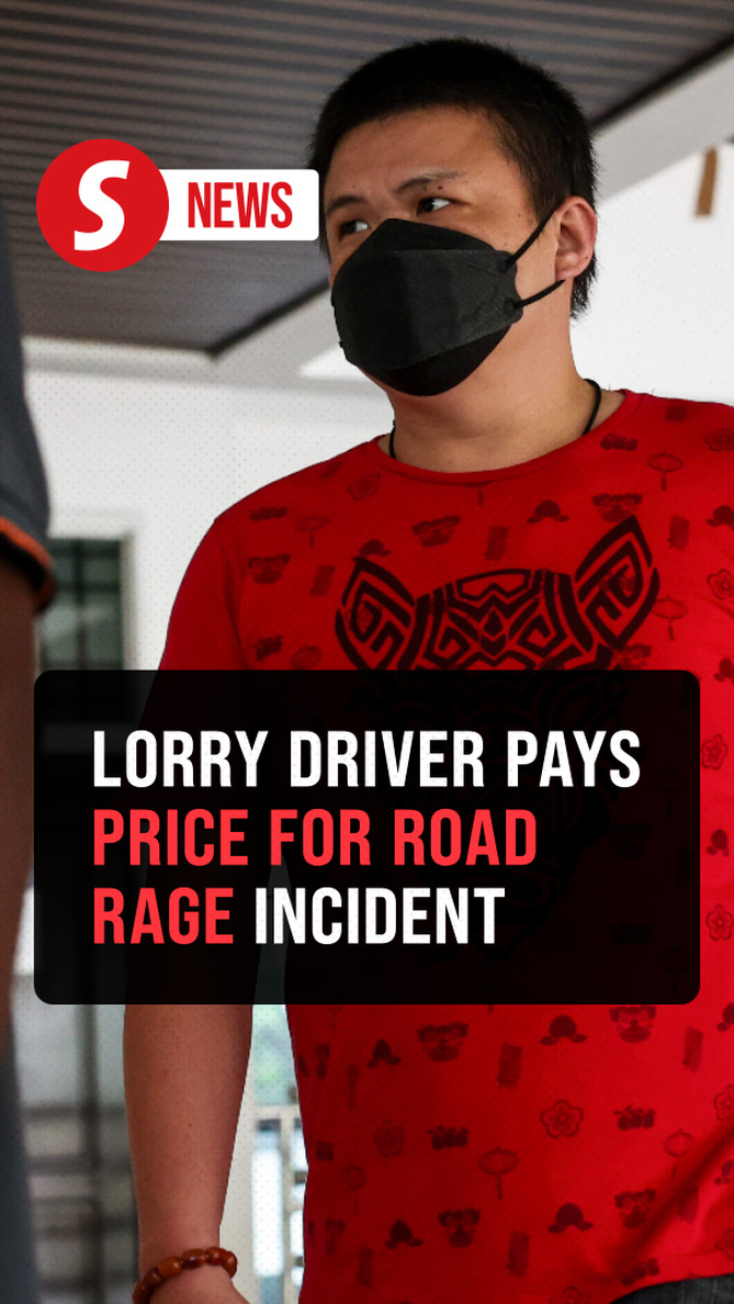 Viral road rage driver gets fine, jail and five-year licence suspension