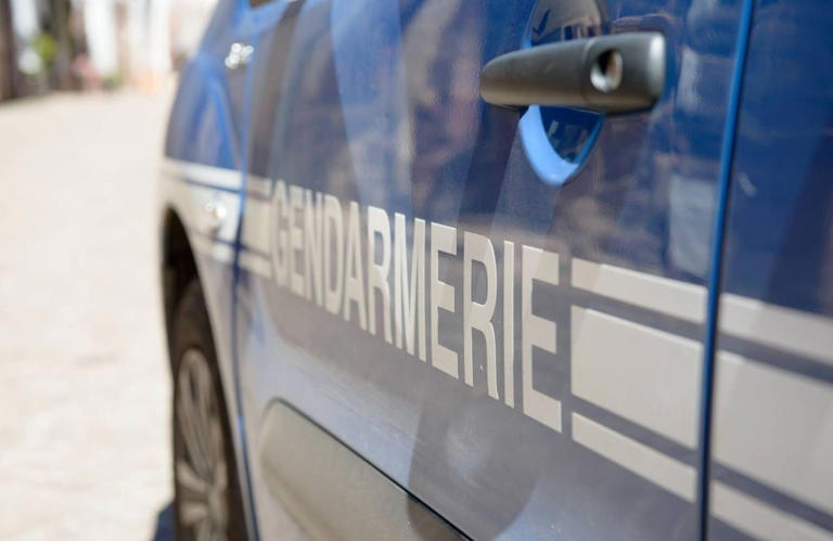 Disparition de Lyhanna : troisième plainte pour viol, profil inquiétant ...