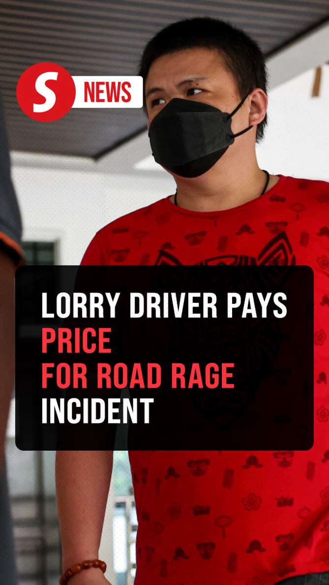 Viral road rage driver gets fine, jail and five-year licence suspension