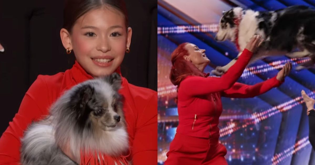 Surprise dancing dog act on 'AGT' wins the ultimate golden buzzer
