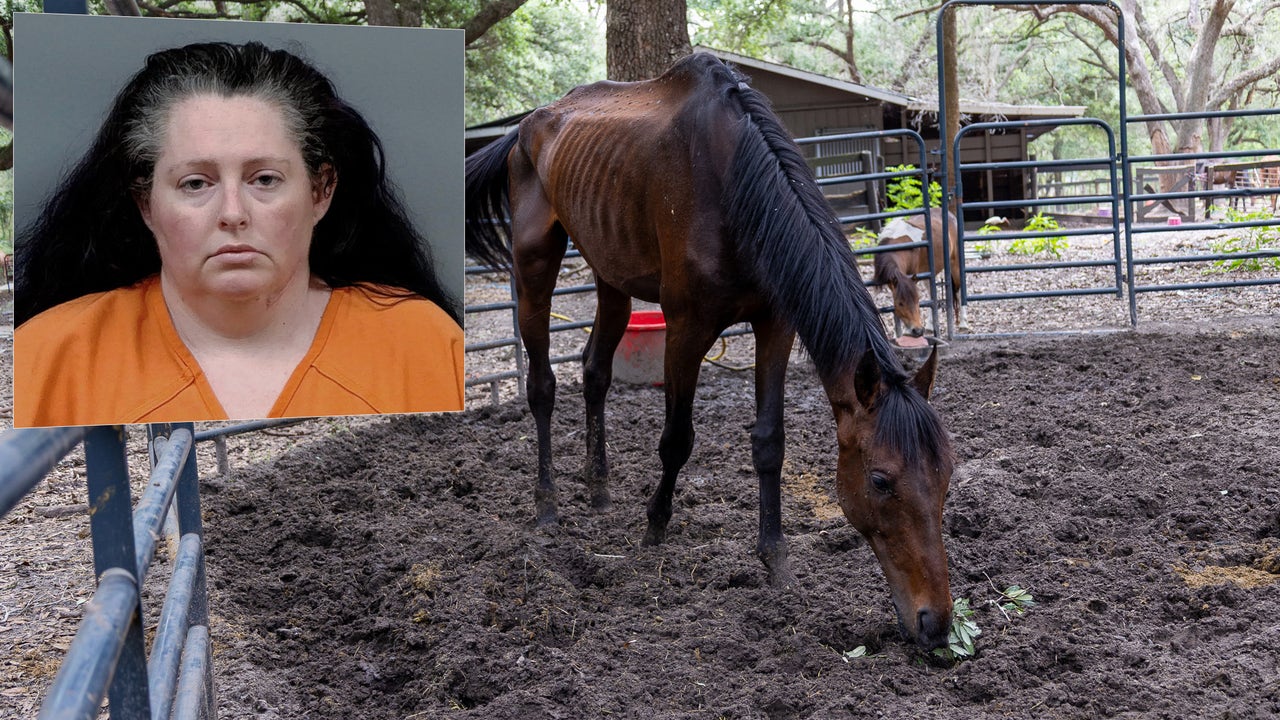 Dunnellon woman arrested after 92 neglected animals found at breeding ...