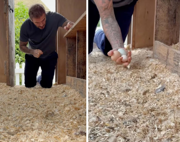 David Beckham shares rare glimpse at his idyllic $16 million English ...