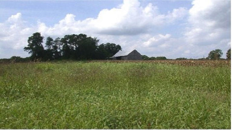 State approves grants for Calvert Museum and parks