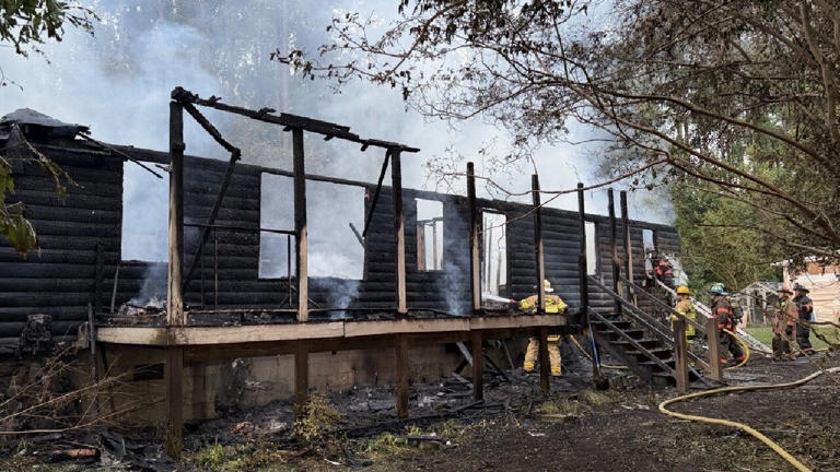 Dozens of cats killed, woman hospitalized after Wilson County house fire