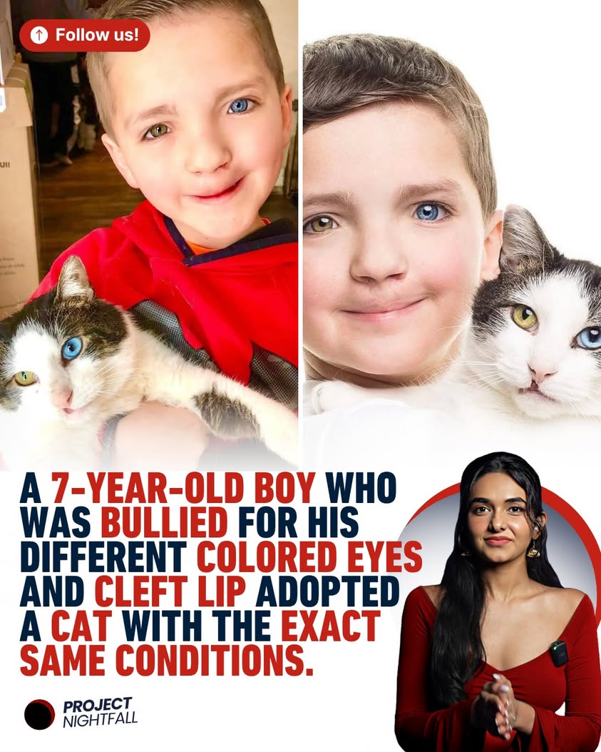 Destiny's double: Bullied boy finds his identical twin, a rescue cat!