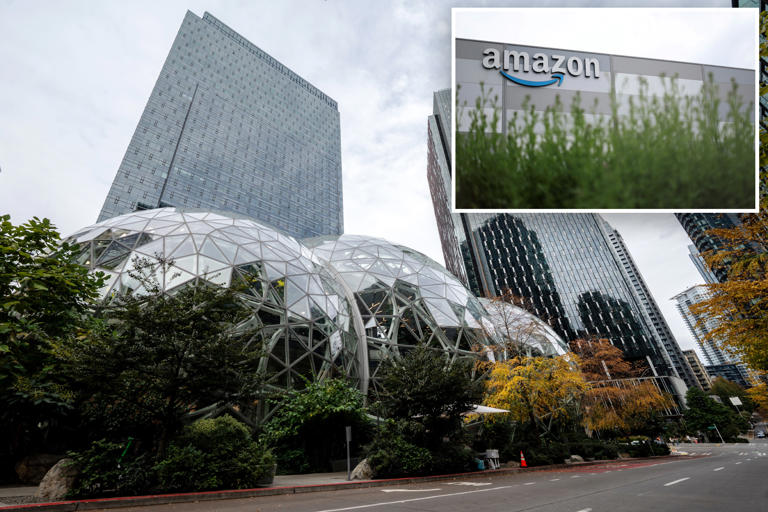 Amazon engineers blast company for spending billions on AI while ...