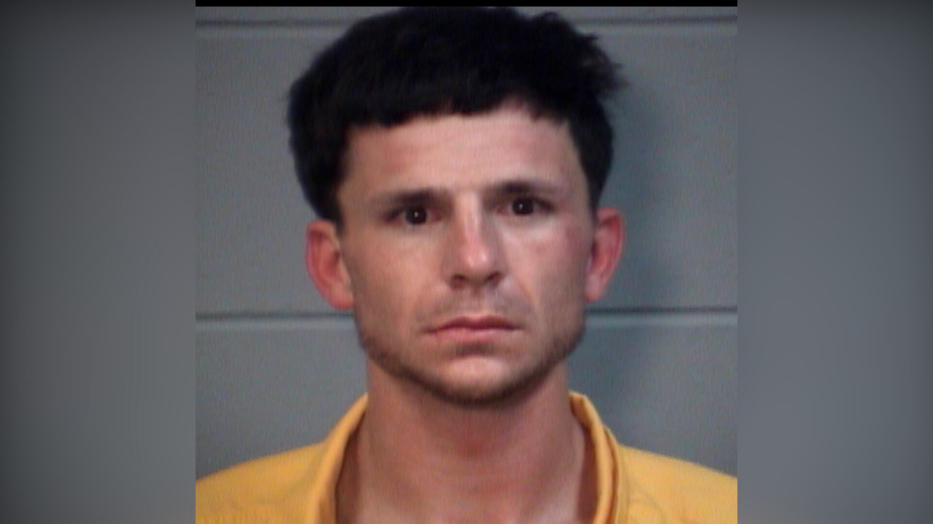 Vancleave man arrested after stealing vehicle, leading deputies on ...